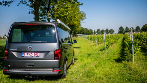 VW California 6.1 Ocean (2022) - 4 Persons - Automatic + Bicycle rack