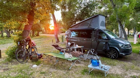 Boelie – 4p Volkswagen bus from 2018