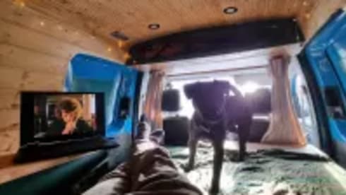 The Pickle Jar – 2 berth Volkswagen campervan from 2011