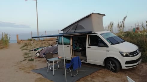 VW T6 California Coast