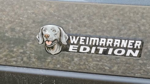 The Hunterwagen! – 4 berth Hymer Sierra Nevada Campervan 2020