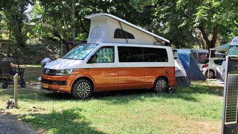 Bertus – 4p Volkswagen campervan from 2018