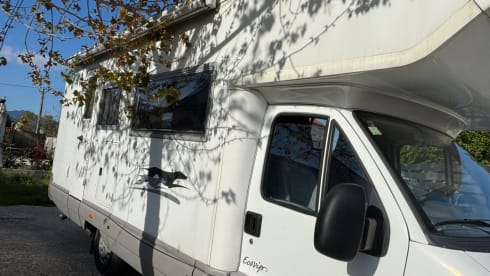 Annamaria  – Camper Laika con climatizzatore in cellula e portamoto