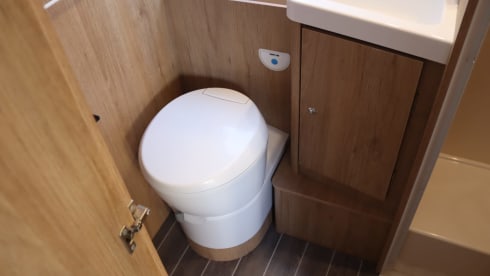 Équipe de roller 6p Alcove de 2018