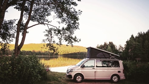 CALI Brown Grey – Volkswagen California COAST Brown/AscotGrey (2021)