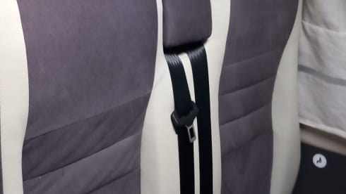 Petunia – The freedom to live in all the wonderful places.