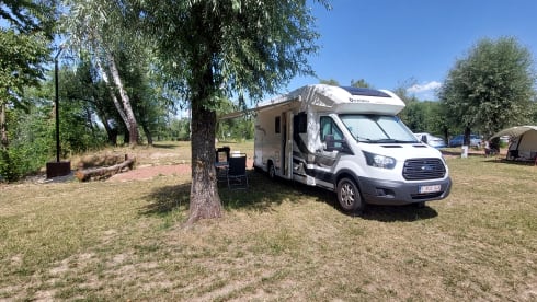 4p Benimar Cocoon uit 2017