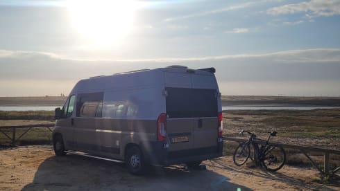 Autobus Fiat 2p del 2016