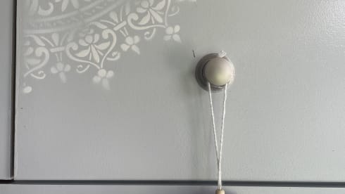 GINNY – small but has everything