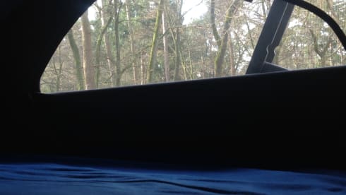 strong, tough VW T5 - California bus camper