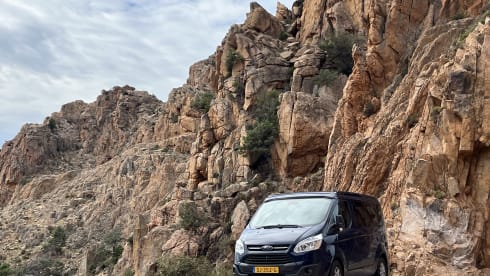 Nuggy  – 4p Ford bus from 2018