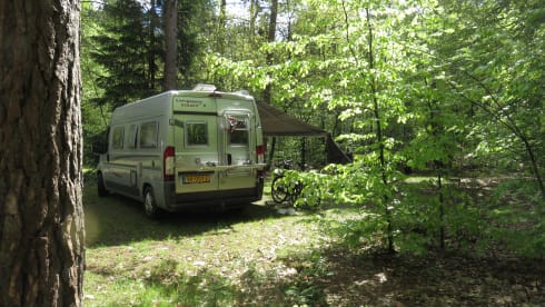 2 person bus camper with fixed bed and sanitary facilities