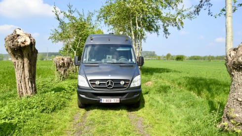 3p Mercedes-Benz bus from 2011