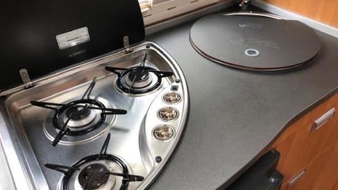 Vrijheid – Luxe Laika Ecovip 309.