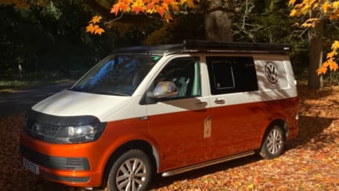 Velma – 4 berth 2016 Volkswagen campervan