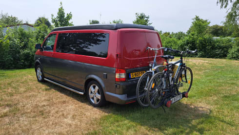 Mambo No.1 – Volkswagen Campervan 'Extra long' 