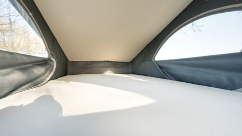 Luxury Volkswagen bus 6.1 California Ocean
