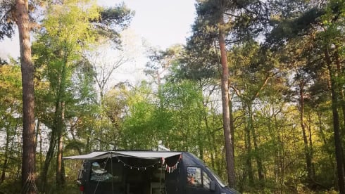 Eddy – 1998 4/6p Fiat Ducato Bus Camper L3H3