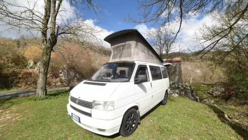 Rino il campeRino – Volkswagen T4 westfalia california