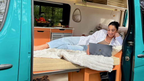 Spike – 3 berth Mercedes-Benz campervan from 2016