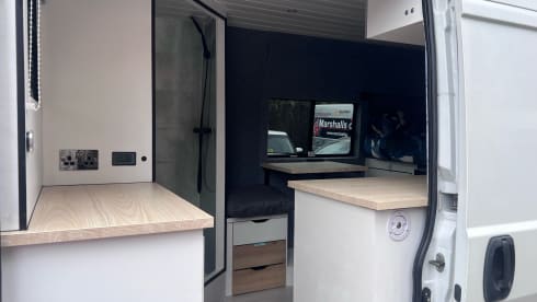 White Shark  – Wild Camper
