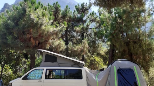 4p Volkswagen bus from 2014