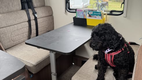 Bailey Bus – 6 berth Bailey Advanced II 2019 - Insurance Included