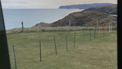 Bamboo Buck – Hashtagcampeurs 