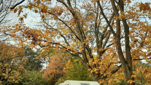 Suus – 6p Rimor-Nische aus dem Jahr 2004