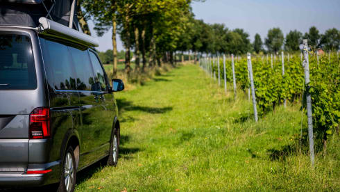 VW California 6.1 Ocean (2022) - 4 Persons - Automatic + Bicycle rack