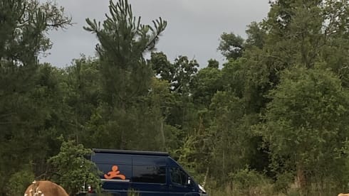 Vicentina – Discover SW Portugal