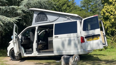 VW Campervan 2018