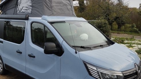 Renault Traffic Handroad Trek 4 neuf, équipé pour l'Aventure