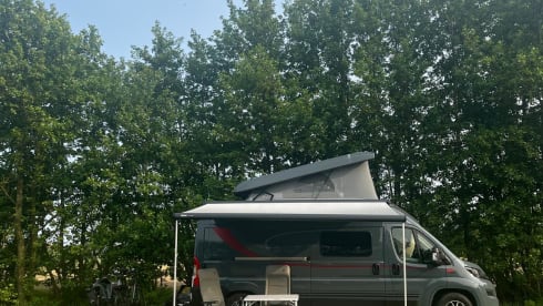 Bus Bürstner 4p à partir de 2025