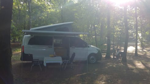 Zonnegeel – 3 person Mercedes-Benz bus from 2017