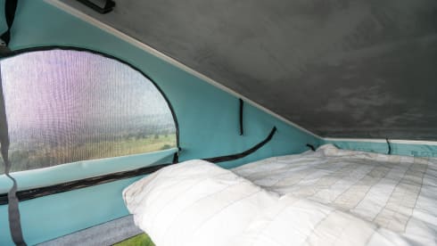 Ringo – VW Transporter -  Poptop Campervan
