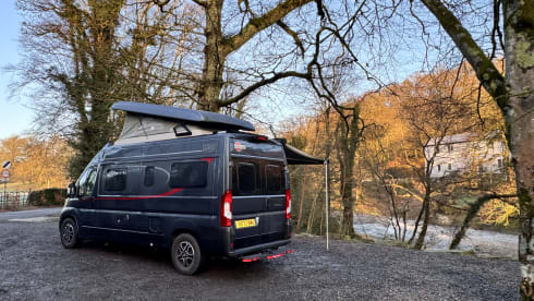 Buster – 4 Berth Bürstner Eliseo from 2023