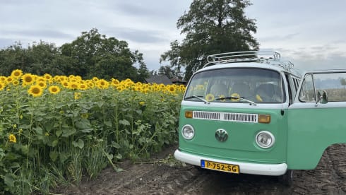 Volkswagen T2 bus from 1985