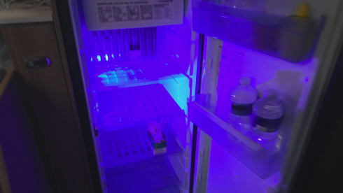 Maisy – 4 berth Swift semi-integrated from 2018