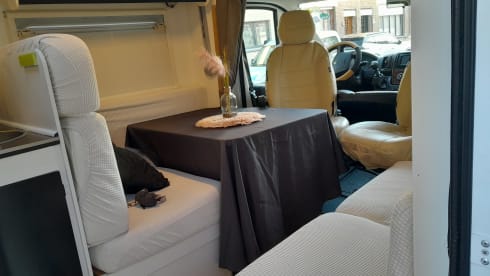 Very neat mobile home