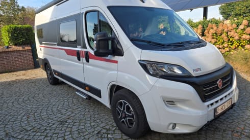 Pilote Xplorer – New bus camper Pilote Vega_630J