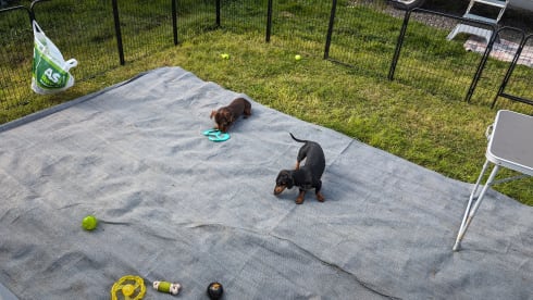 Bertha – 4 berth Bailey complete with secure dog pen