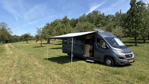 Vibes  – 2p Fiat bus uit 2020