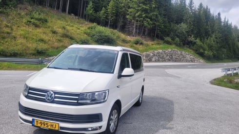 Cali  – Volkswagen California T6 (Factory Camper, original)