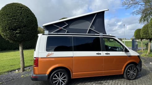 Camper Bronze – p Volkswagen bus from 2018