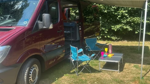 Mr Festie  – 3 berth Mercedes-Benz campervan from 2026
