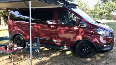 WOLF TRAIL – FORD NUGGET PLUS TRAIL 2022, economical and full option