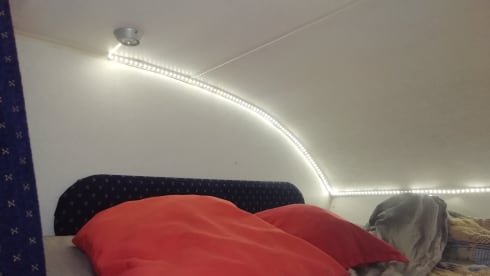 LADY – TRAVEL BY CAMPER