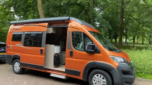  Pössl – 4er Pössl Bus von 2018