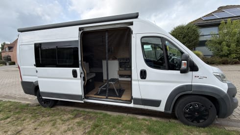 Bobo – 2p Fiat bus uit 2018